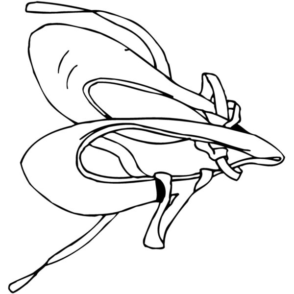 SHOE07 Miniaturansicht