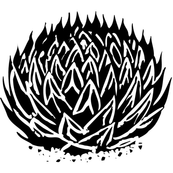 CACTUS06 Miniaturansicht