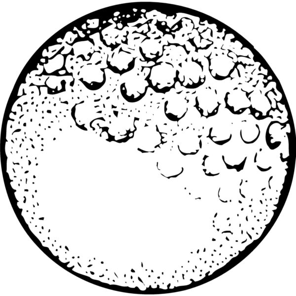 GOLF07 Miniaturansicht