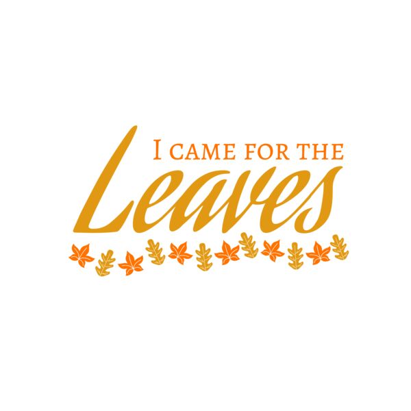 Fall Season 28 Miniaturansicht