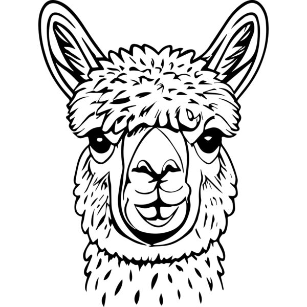 Lllama   Clipart 3 Miniaturansicht