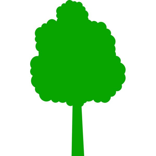 41 Tree Miniaturansicht