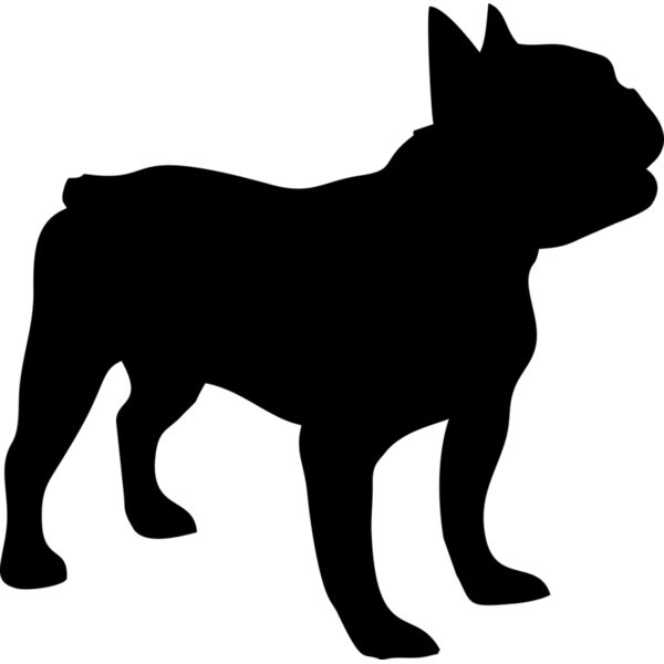 Hund Französische Bulldogge Miniaturansicht