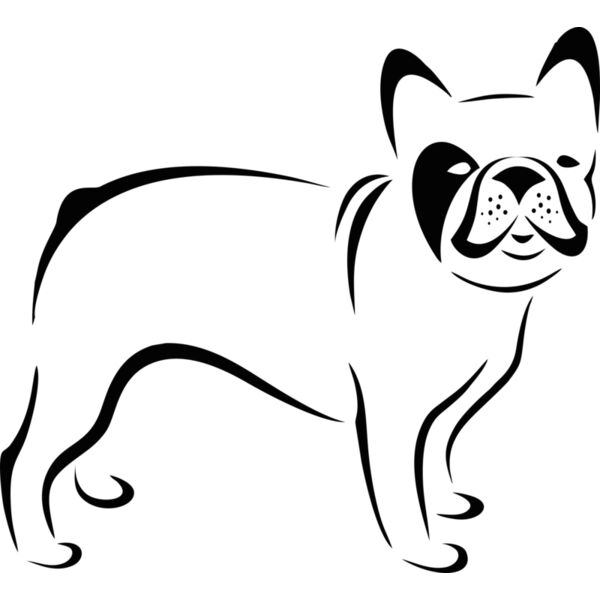 Hund französische Bulldogge Miniaturansicht